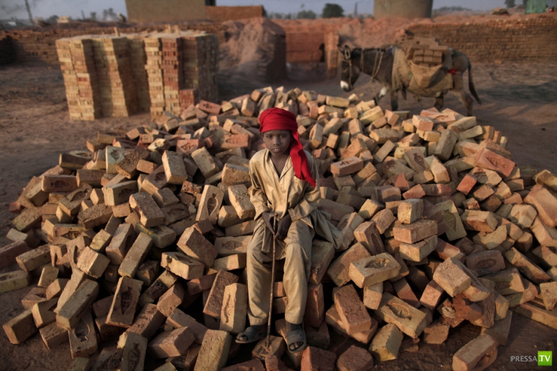 ������ ���������� Associated press �� ������ (26 ����)