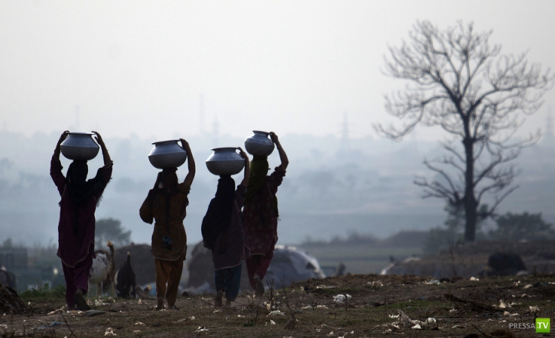 ������ ���������� Associated press �� ������ (26 ����)