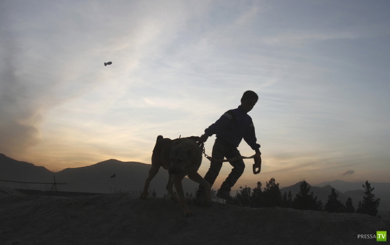 ������ ���������� Associated press �� ������ (26 ����)