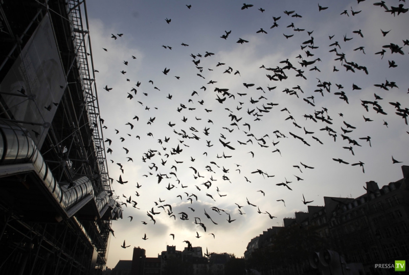 ������ ���������� Associated press �� ������ (26 ����)