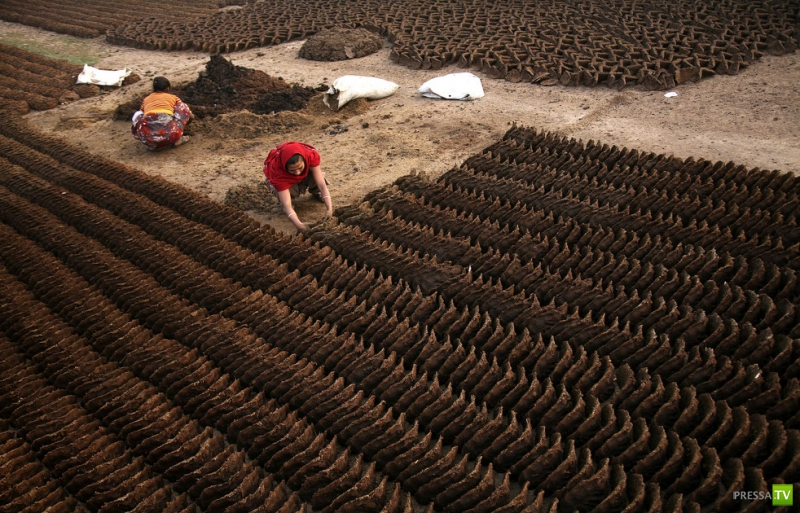 ������ ���������� Associated press �� ������ (26 ����)