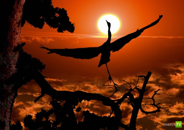 �������� ����� ����� �������� (48 ����)