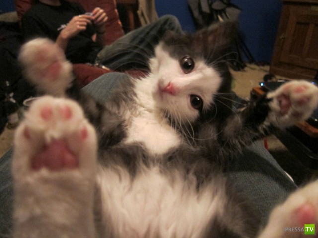 �������� ����� ����� �������� (48 ����)