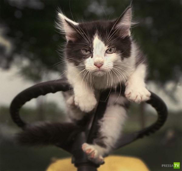 �������� ����� ����� �������� (48 ����)