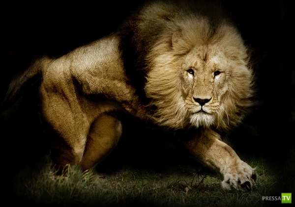 �������� ����� ����� �������� (48 ����)