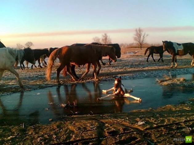 �������� ����� ����� �������� (48 ����)