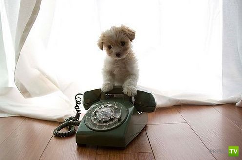 �������� ����� ����� �������� (48 ����)