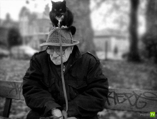 �������� ����� ����� �������� (48 ����)