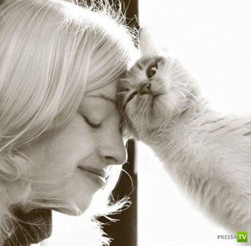 �������� ����� ����� �������� (48 ����)