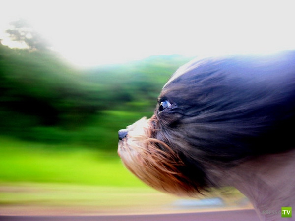 �������� ����� ����� �������� (48 ����)