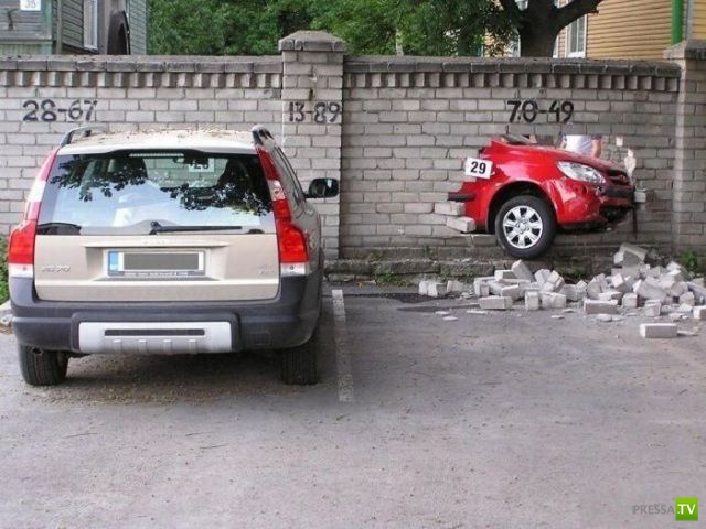 ������������ �������� � ������������ (42 ����)