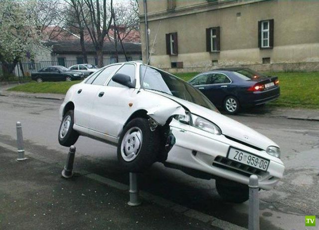 ������������ �������� � ������������ (42 ����)