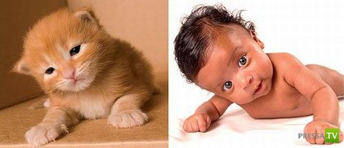 ��� ��� ������: ����� � ���� (8 ����)