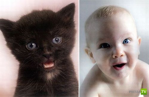 ��� ��� ������: ����� � ���� (8 ����)