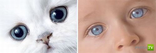 ��� ��� ������: ����� � ���� (8 ����)