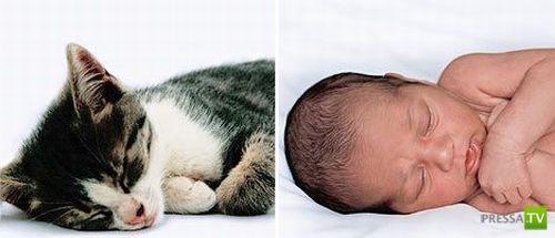 ��� ��� ������: ����� � ���� (8 ����)