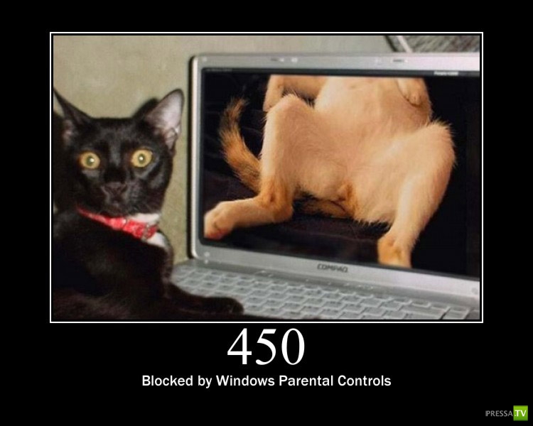 ������������ ������ � ������ :) (16 ����)