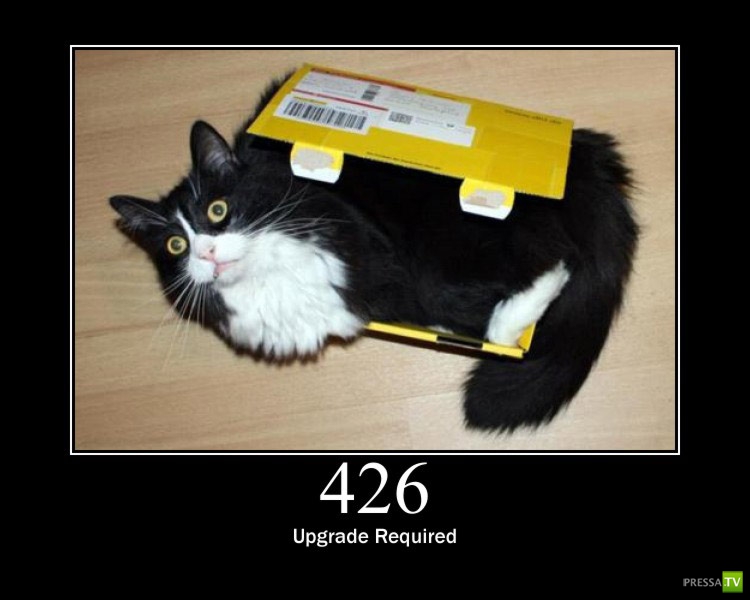 ������������ ������ � ������ :) (16 ����)