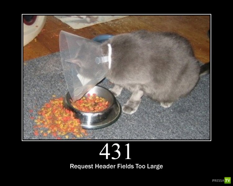 ������������ ������ � ������ :) (16 ����)