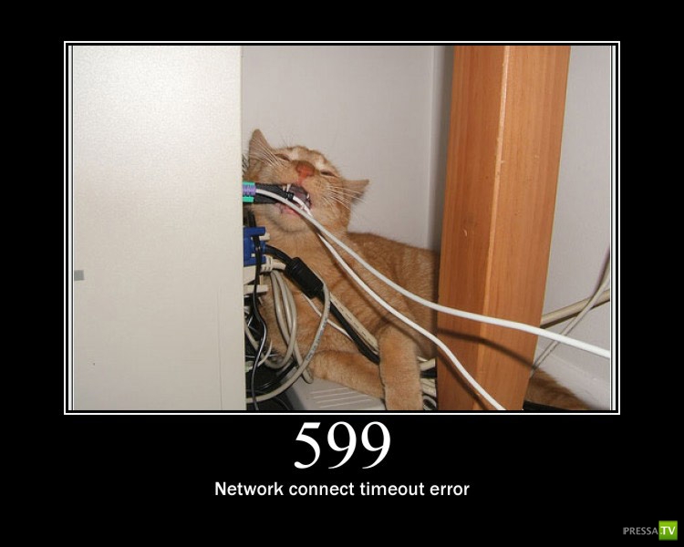 ������������ ������ � ������ :) (16 ����)