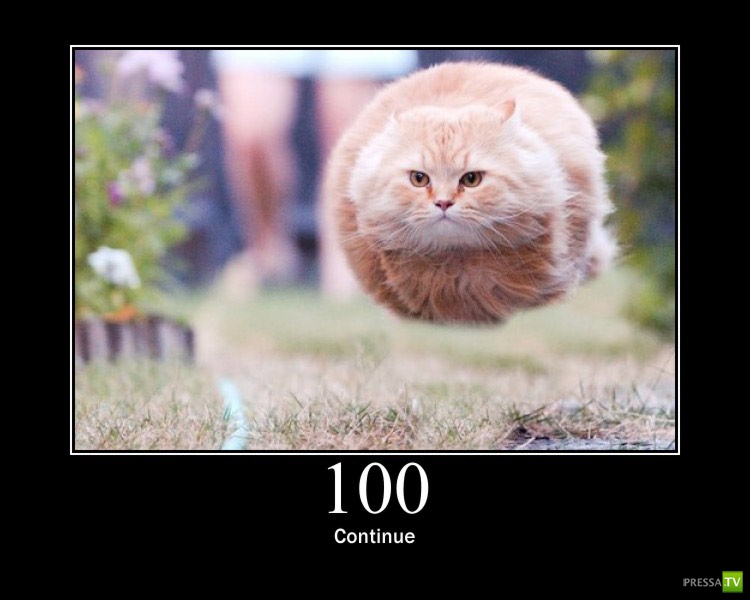 ������������ ������ � ������ :) (16 ����)