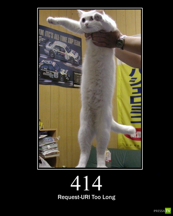 ������������ ������ � ������ :) (16 ����)