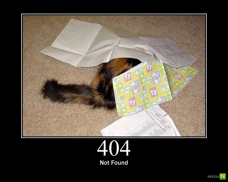 ������������ ������ � ������ :) (16 ����)