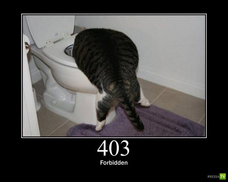 ������������ ������ � ������ :) (16 ����)