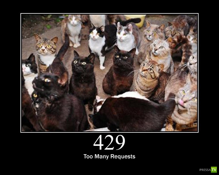 ������������ ������ � ������ :) (16 ����)