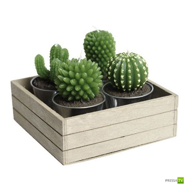 ��������� ����� (29 ����)