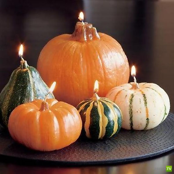 ��������� ����� (29 ����)