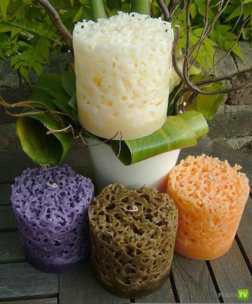 ��������� ����� (29 ����)