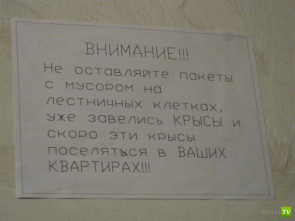 �������� �������� ��������� � �������� ����� 4 (31 ����)