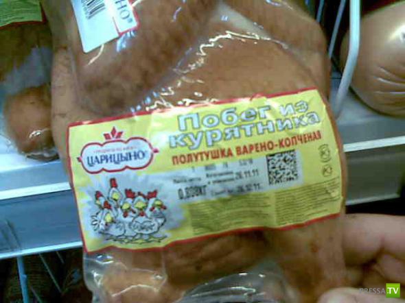 �������� �������� ��������� � �������� ����� 4 (31 ����)