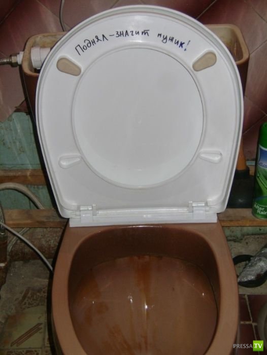 �������� �������� ��������� � �������� ����� 4 (31 ����)