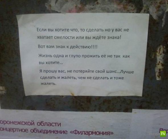 �������� �������� ��������� � �������� ����� 4 (31 ����)