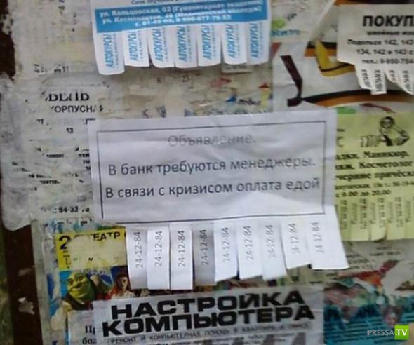 �������� �������� ��������� � �������� ����� 4 (31 ����)