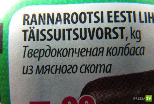 �������� �������� ��������� � �������� ����� 4 (31 ����)