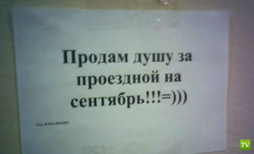 �������� �������� ��������� � �������� ����� 4 (31 ����)