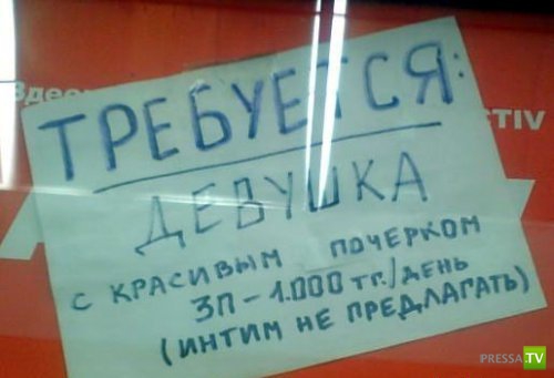 �������� �������� ��������� � �������� ����� 4 (31 ����)