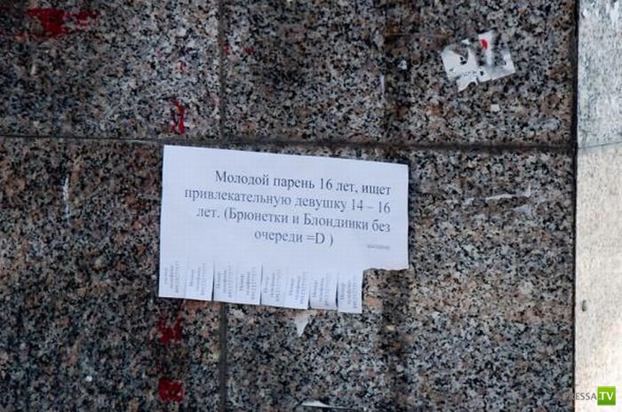 �������� �������� ��������� � �������� ����� 4 (31 ����)