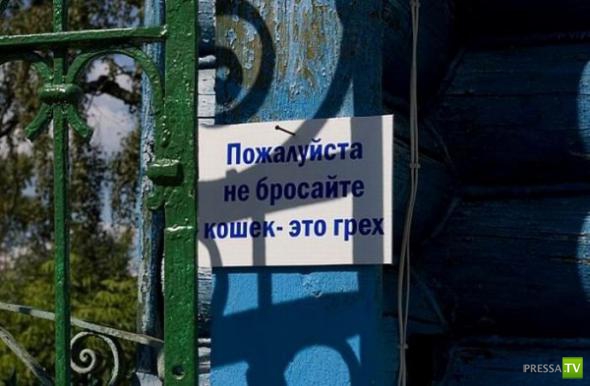 �������� �������� ��������� � �������� ����� 4 (31 ����)