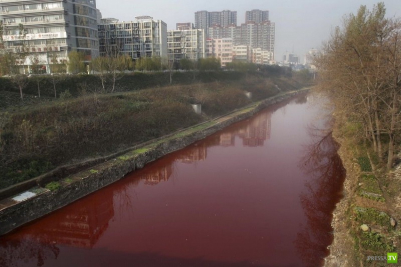 �������� ���� � ��������� ������, ����� (3 ����)