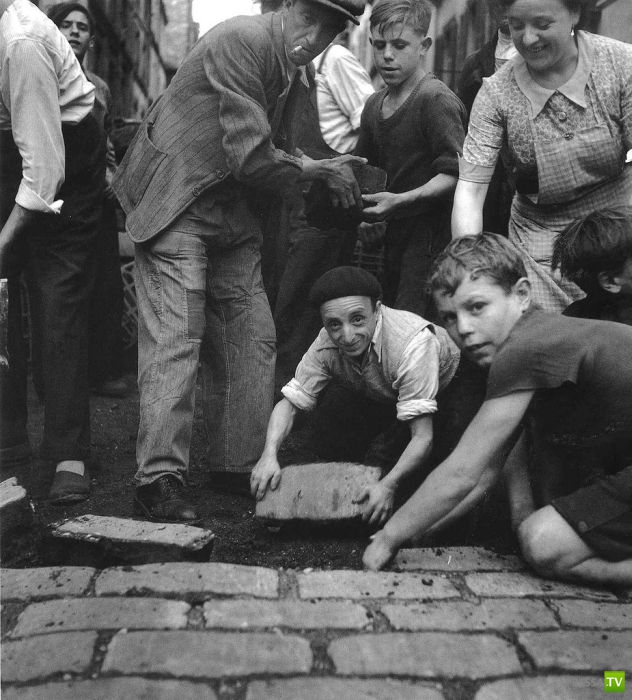 ����� ����� ������ ������� (41 ����)