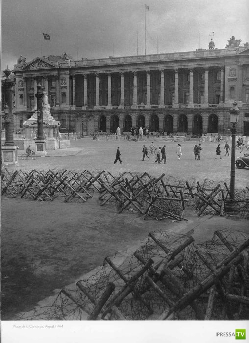 ����� ����� ������ ������� (41 ����)