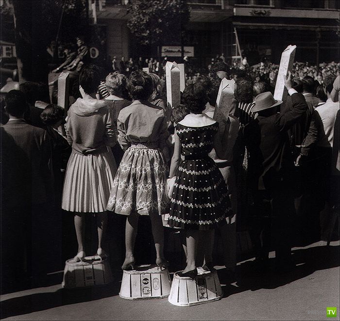 ����� ����� ������ ������� (41 ����)