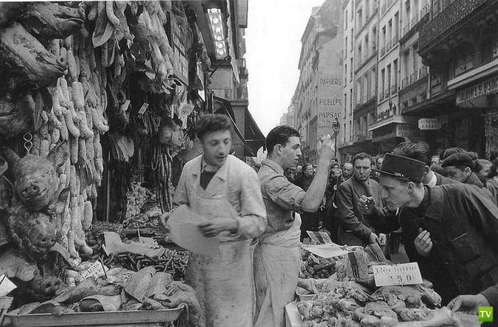 ����� ����� ������ ������� (41 ����)