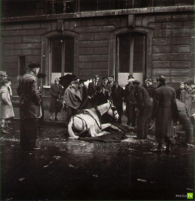 ����� ����� ������ ������� (41 ����)