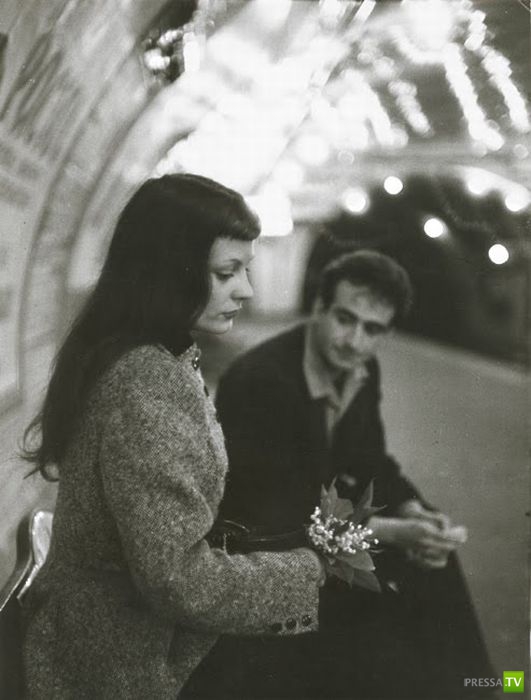 ����� ����� ������ ������� (41 ����)