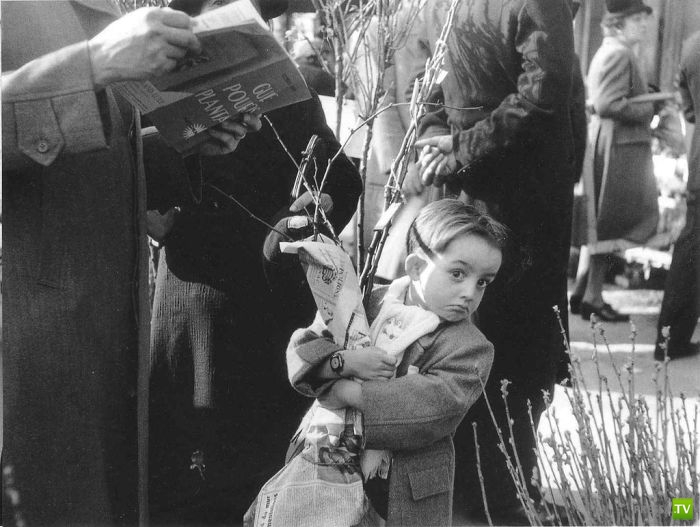 ����� ����� ������ ������� (41 ����)